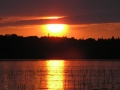 normal_2006 103