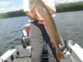 normal_Andy Augustine 44 inch pike-edited